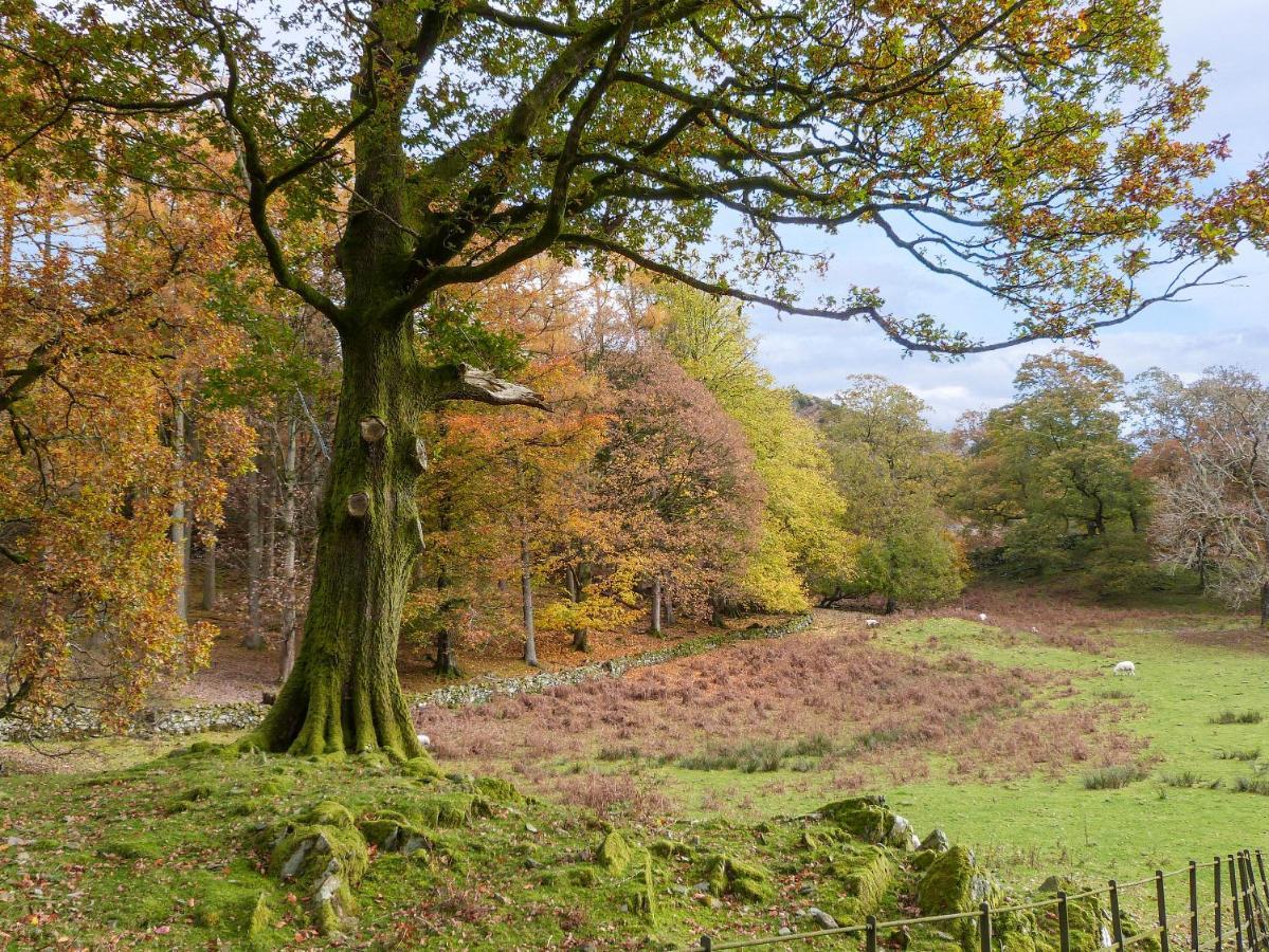 Yew - Woodland Cottages Боунес-он-Уиндермер Экстерьер фото