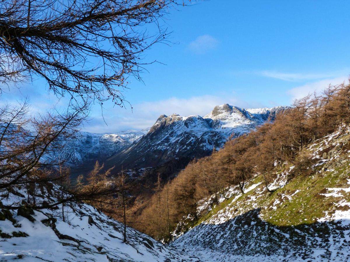 Yew - Woodland Cottages Боунес-он-Уиндермер Экстерьер фото
